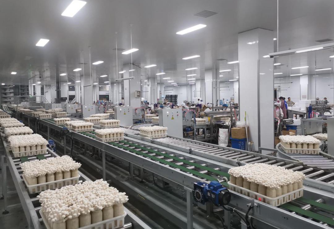 2022年中国仓储业市场运行情况分析与后期展望